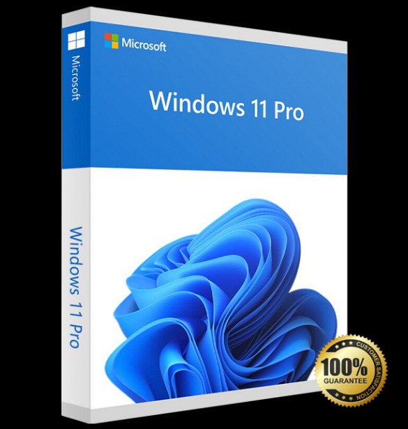 Microsoft Windows 11 Pro 64bit