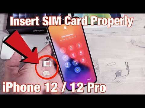 Apple iPhone 12 Sim Card Tray Holder