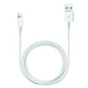 iPhone Lightning to USB Cable (1m)