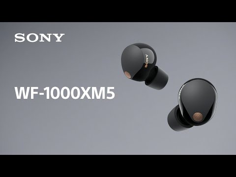 Sony WF-1000XM5