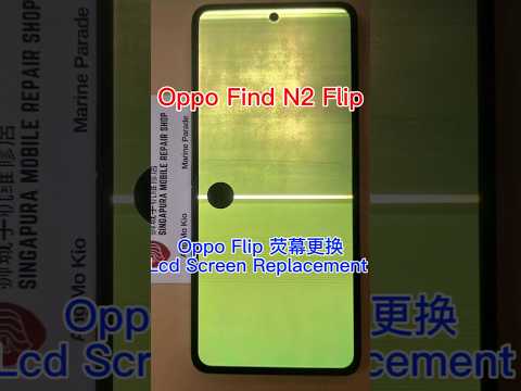 Oppo Find N2 Flip Screen Replacement