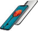 Apple iPhone X Water Damage Repair