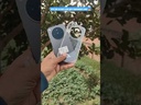 OPPO Find X8 Ultra Clear Case