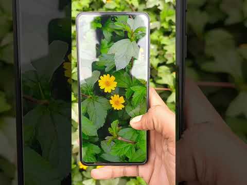 Samsung Galaxy M55s Mirror Glass Protector