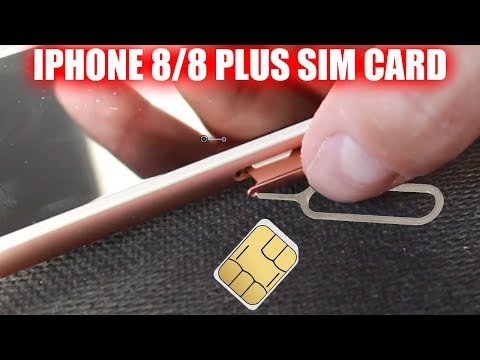 Apple iPhone 8 Plus Sim Card Tray Holder