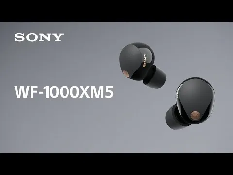 Sony WF-1000XM5