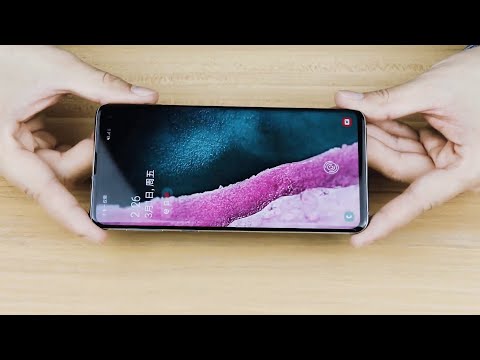 Google Pixel 5 Tempered Glass Screen Protector