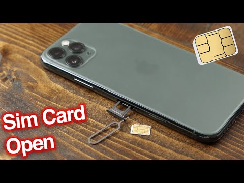Apple iPhone 11 Pro Sim Card Tray Holder