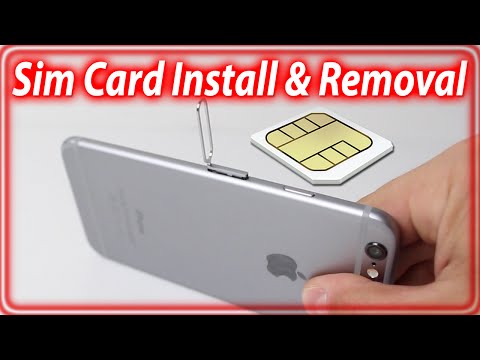 Apple iPhone 6 Sim Card Tray Holder
